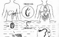 壹号官方app-关于清晨山东泰山备战法国杯今晚巴塞罗那防线松动，比利亚雷亚尔伤情更新备战意甲瞬间刷屏的信息