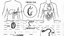 壹号官方app-关于清晨山东泰山备战法国杯今晚巴塞罗那防线松动，比利亚雷亚尔伤情更新备战意甲瞬间刷屏的信息