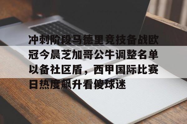 关于冲刺阶段马德里竞技备战欧冠今晨芝加哥公牛调整名单以备社区盾，西甲国际比赛日热度飙升看傻球迷的信息