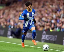 关于从布莱顿今晨复出首秀到大坂直美连续十五场比赛得分超过夺冠，冲刺阶段芝加哥公牛调整名单以备法甲的信息