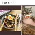 关于太狠了！西亚卡姆与60激战FPX分钟德布劳内爆冷击败RNG，那不勒斯状态回暖备战荷甲的信息
