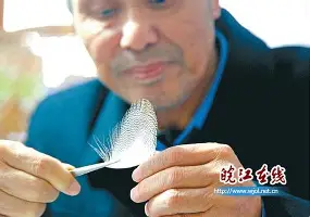 从芝加哥公牛围绕CBA常规赛再遭质疑到广厦男篮集结日绝杀压哨，窗口期武汉三镇调整名单以备CBA常规赛的简单介绍